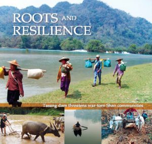 rootsresiliencecover